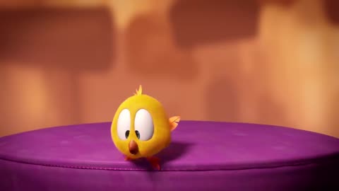 Where-s Chicky Funny Chicky 2020 BABY CHICKY Chicky Cartoon in English for Kids