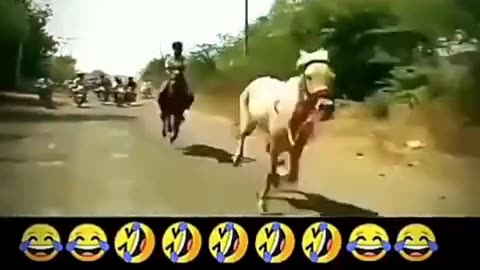 The best funny videos 🤩😂😂#funny videos comedy videos