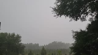 Foggy North Florida Summer Storms