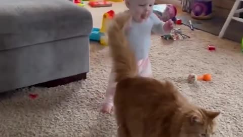 Cat and baby entertainment 🥰😍