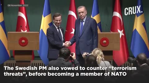 Russia Ukraine War | Turkey President Erdogan Demands "Concrete Steps" To Support Sweden's NATO Bid