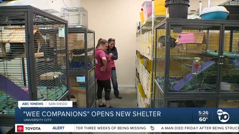 Wee Companions opens new adoption center in University City
