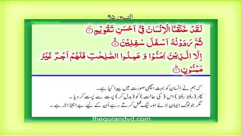 Surah 95 Chapter 95 At Tin Quran with Urdu Hindi Translation