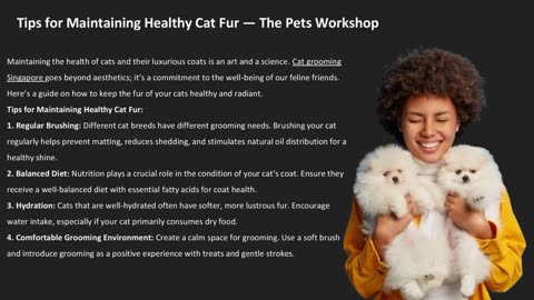 Tips for Maintaining Healthy Cat Fur — The Pets Workshop