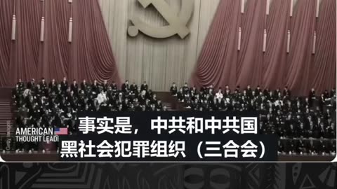 The CCP works together with Chinese orgainzed crime. 中共与中共国黑社会犯罪组织沆瀣一气