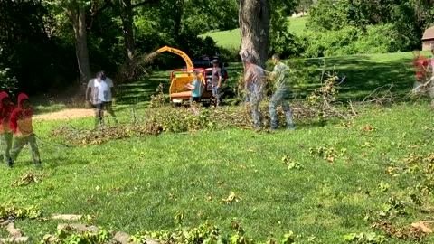 Bethel Tree Trimmers and Clean-Up Crew