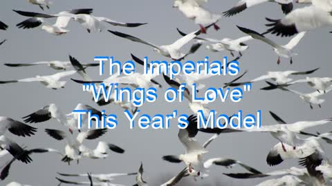 The Imperials - Wings of Love #274