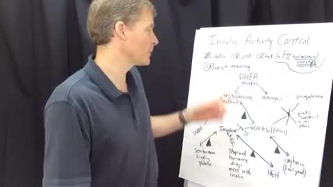 046 How to Control Insulin Stress and Other Hormones Play a Role.