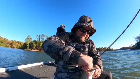 Fall Fishing For Bass Is Easy!! (Here's How We Do It)