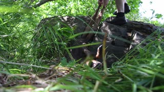 Baby Moose Stuck in a Boulder