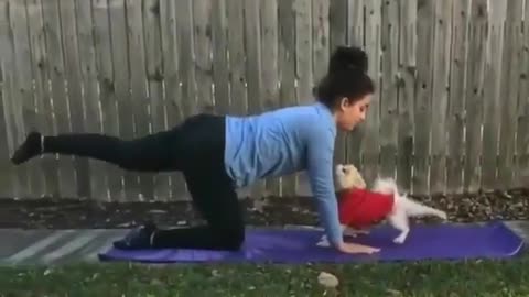 Pet yoga