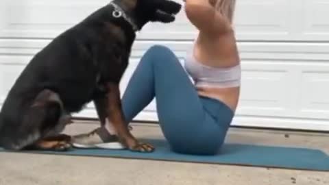 This Doggy Turns Out To Be The Perfect Personal Trainer