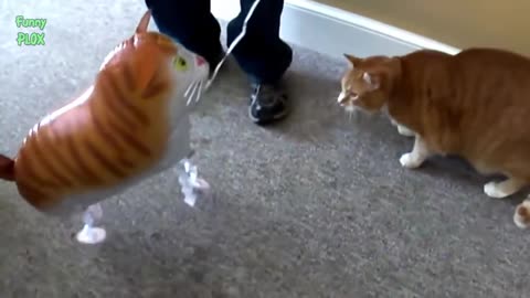 Funny Cats vs Balloons 2014