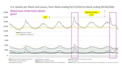 COVID-19 Deaths: A look at US deaths