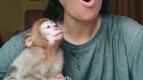 My friend my monkey