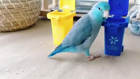 Watch how he puts the colors in place ،Parrot training🤩