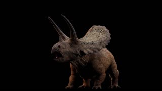 Torosaurus Reveal - INSTINCTION