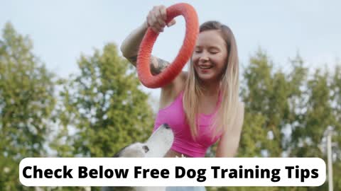 Free Dog Training PDF Guide