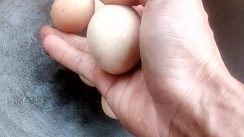 Wild chicken eggs, wild chickens lay in my house's potholes