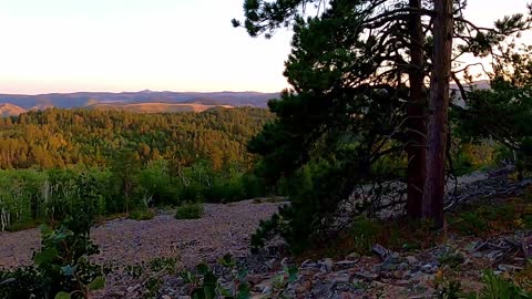 Mount Roosevelt: Friendship Tower