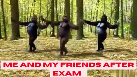 ME AND MY FRIENDS GORILLA DANCE AFTER EXAM🤩