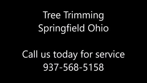 Tree Trimming Springfield Ohio