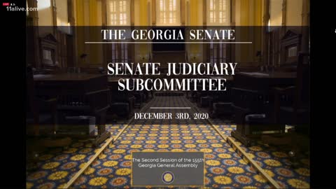 Second Georgia Senate election hearing