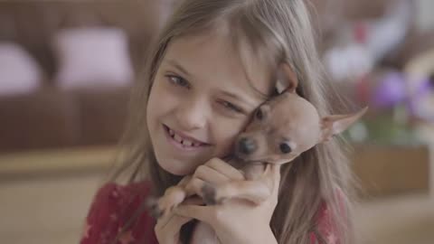 Portrait of cute little girl hugging and kissing her small brown chihuahua dog