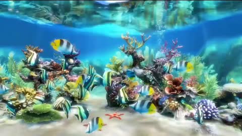 Beautiful Coral Reef Fish Relaxing Piano And Ocean Fish