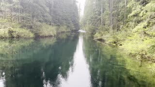 Where National Wild & Scenic McKenzie River Starts – Clear Lake – Central Oregon – 4K