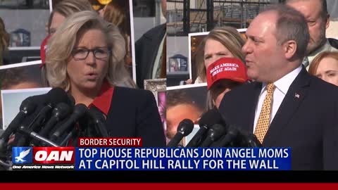 Top House Republicans Join Angel Moms on Capitol Hill