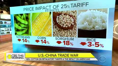 Tom Cotton addresses Trump's tariffs