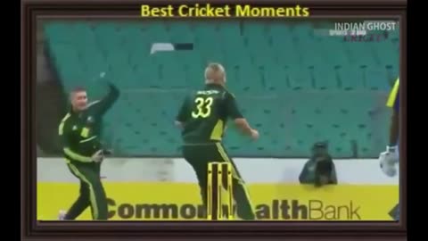 Top Run Out Fails In Cricket! Fails and Bloopers! Funny Cricket