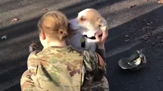 HER DOG’S JOY 🥰 WHEN HE DOES FINALLY REALIZES SHE’S HOME