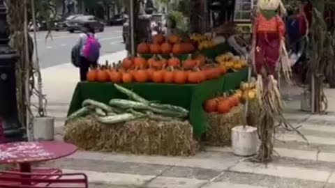 Pumpkin Festival New York ✨️