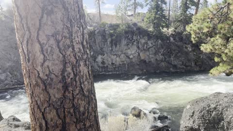 Perched to See the EPIC Roaring Deschutes River – Central Oregon – 4K