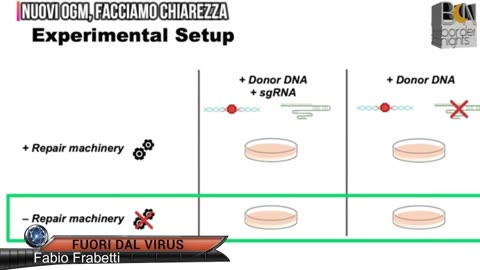 NUOVI OGM: FACCIAMO CHIAREZZA Fuori dal Virus n.953.SP