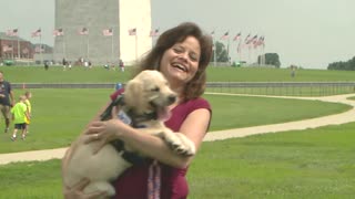 Hilarious News Outtakes Show Service Puppy Ruining Reporter’s Segment