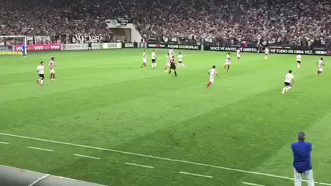 Corinthians fans at the stadium