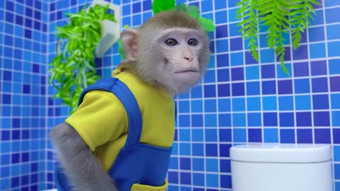 Monkey Nana goes to the toilet and plays with Ducklings | Monkey Nana