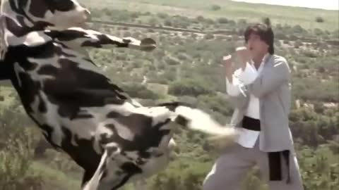 The best fight - Cow VS Funny Man