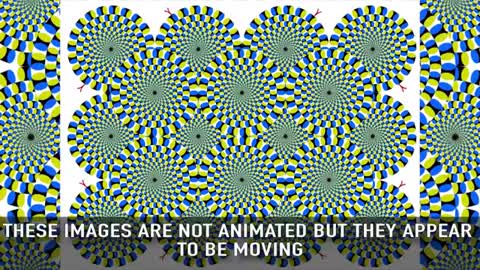 Mind Blowing Illusion - melt your brain!!