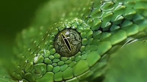 When a snake reminds you to stay hydrated, you know it's serious business!