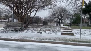 Snowy Dallas!