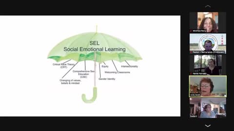 SEL, CRT & Equity