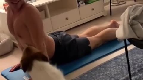 My Dog loves his yoga