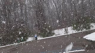 Peacefull high-def video of snow falling in nature