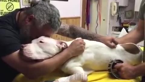 Un "rudo" hombre se rompe al tener que despedir a su perro con el que ha vivido durante 14 años