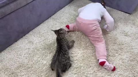 funniest cat playinng baby reaction happy