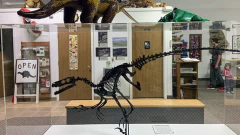 On the Dinosaur Trail: Rudyard Depot Museum, Montana